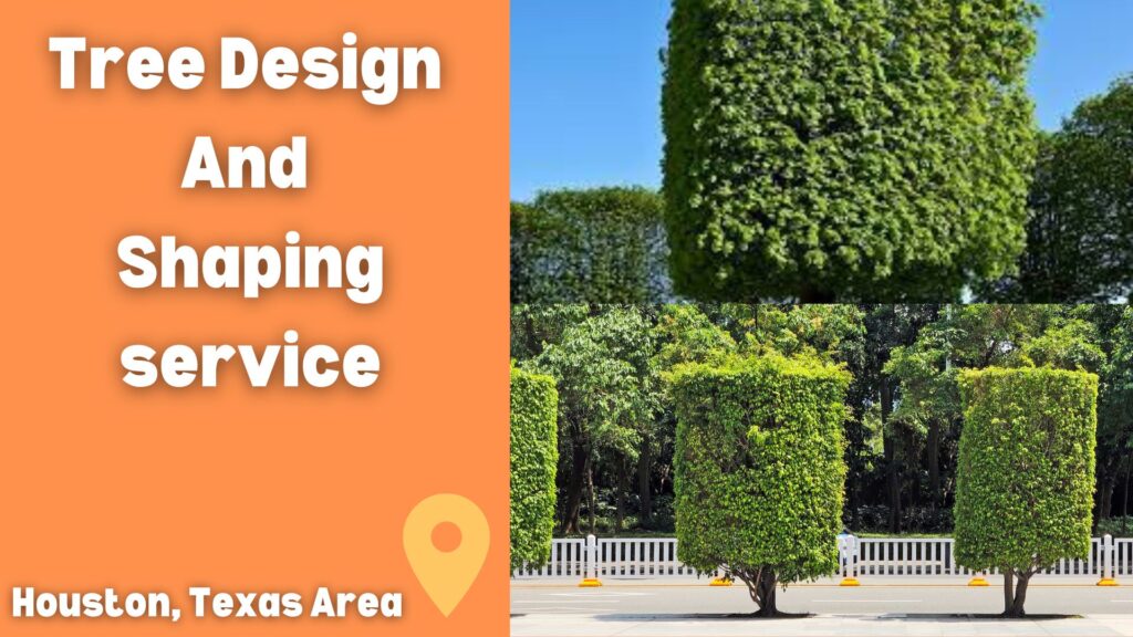 Best Tree Design And Shaping service In Houston